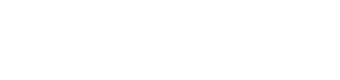 Skyweb.lk White logo